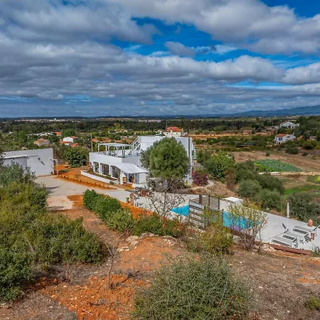 Amazing T1 -alvor Daire *